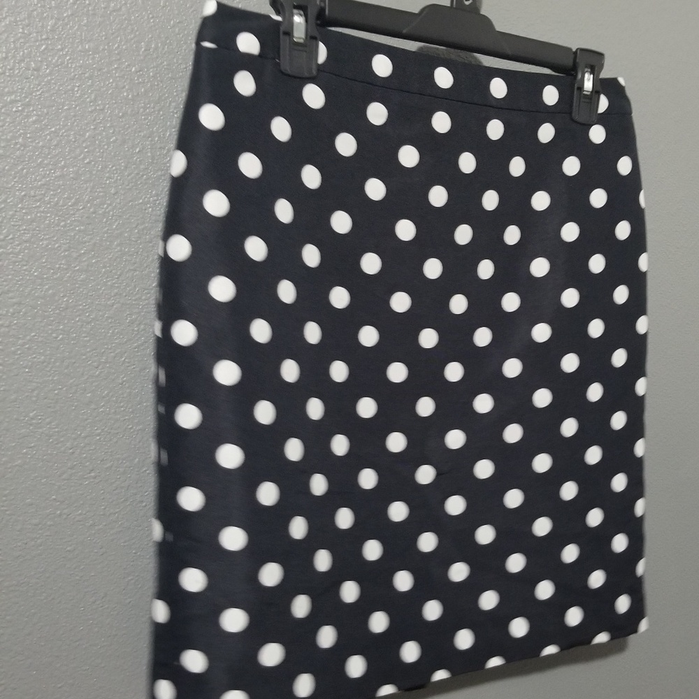 Loft Polka Dot Skirt